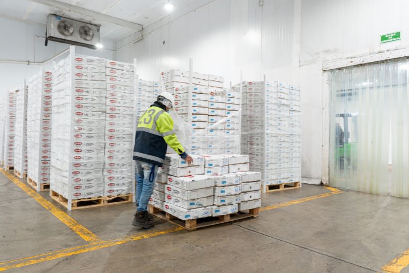 Caixas Frigoríficas